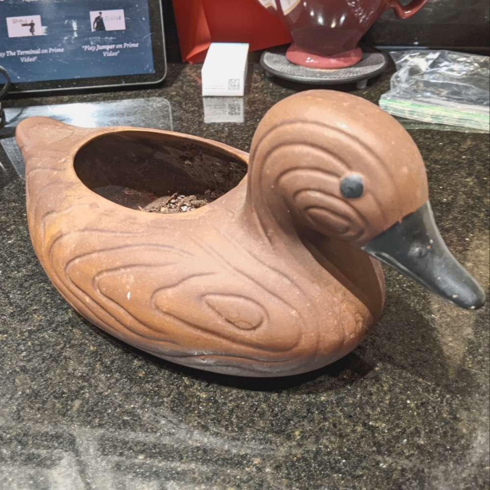 Vintage pet duck planter, pottery. Pets